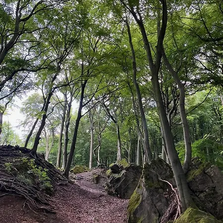Seaside Tiny House Hameln *