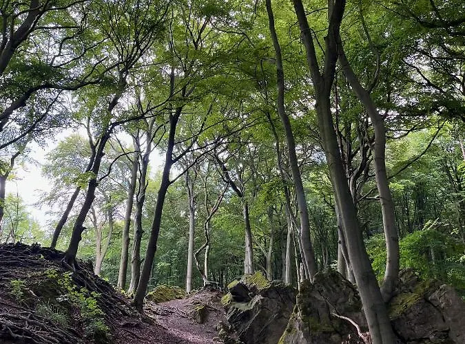 Seaside Tiny House Hameln *
