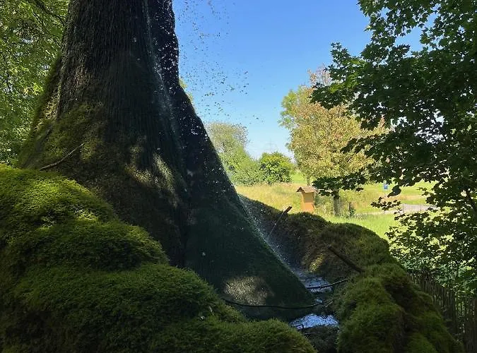 Apartamento Seaside Tiny House Hameln