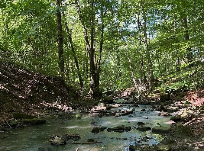 Seaside Tiny House Hameln Apartamento *